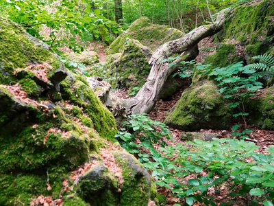 0008_6 Damasa szakadék_bsz_web_25-06-10_SiposGergely_Eger_Copyrights_All_rights_reserved_2025.jpg