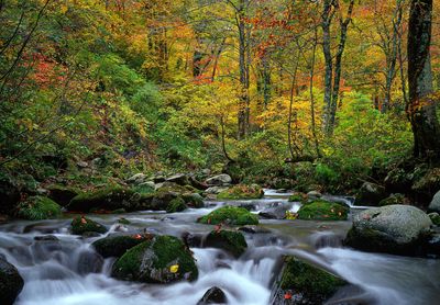 landscape-4475213_1920.jpg