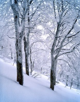 snow-2221767_1920.jpg